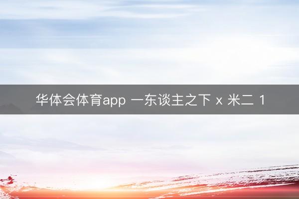 华体会体育app 一东谈主之下 x 米二 1