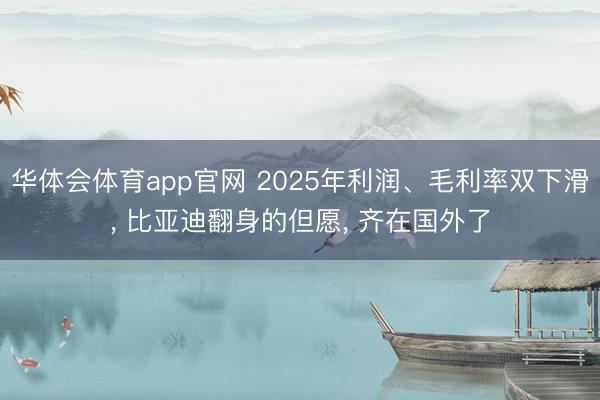 华体会体育app官网 2025年利润、毛利率双下滑， 比亚迪翻身的但愿， 齐在国外了