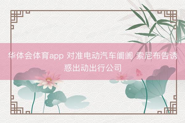 华体会体育app 对准电动汽车阛阓 索尼布告诱惑出动出行公司