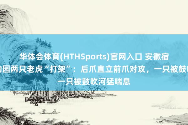 华体会体育(HTHSports)官网入口 安徽宿州野无邪物园两只老虎“打架”：后爪直立前爪对攻，一只被鼓吹河猛喘息