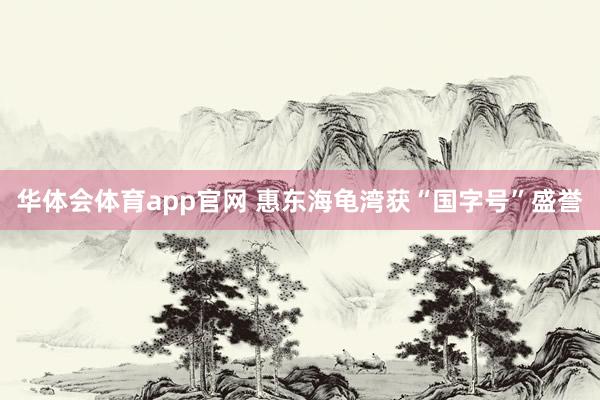 华体会体育app官网 惠东海龟湾获“国字号”盛誉