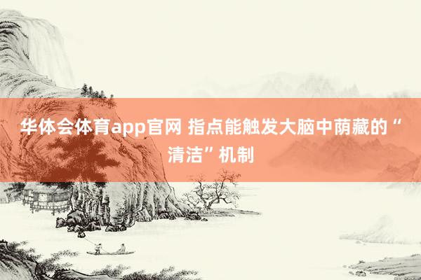 华体会体育app官网 指点能触发大脑中荫藏的“清洁”机制