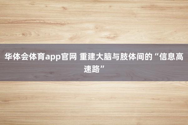 华体会体育app官网 重建大脑与肢体间的“信息高速路”