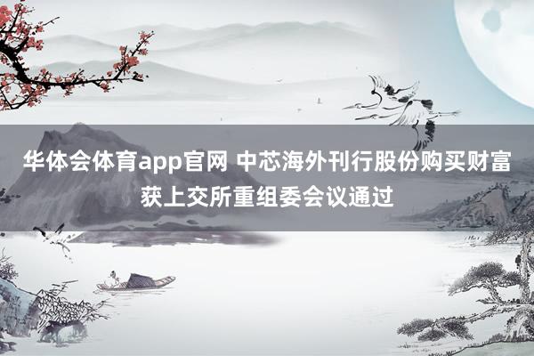 华体会体育app官网 中芯海外刊行股份购买财富获上交所重组委会议通过