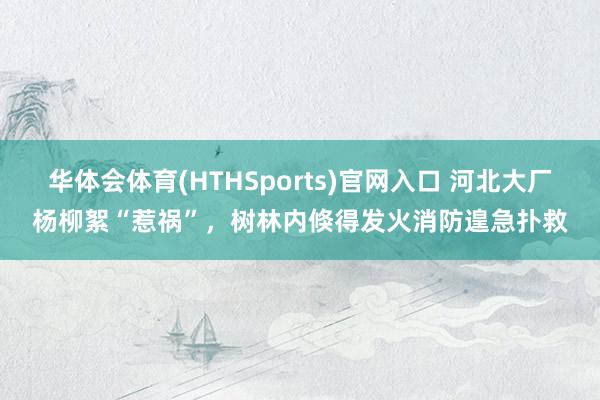 华体会体育(HTHSports)官网入口 河北大厂杨柳絮“惹祸”，树林内倏得发火消防遑急扑救