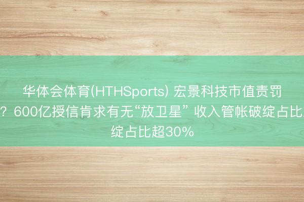 华体会体育(HTHSports) 宏景科技市值责罚新范式？600亿授信肯求有无“放卫星” 收入管帐破绽占比超30%