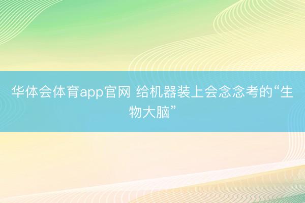 华体会体育app官网 给机器装上会念念考的“生物大脑”