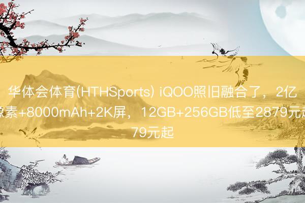 华体会体育(HTHSports) iQOO照旧融合了,2亿像素+8000mAh+2K屏,12GB+256GB低至2879元起