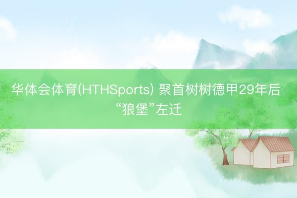 华体会体育(HTHSports) 聚首树树德甲29年后 “狼堡”左迁