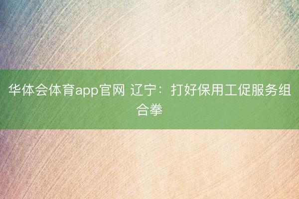 华体会体育app官网 辽宁：打好保用工促服务组合拳