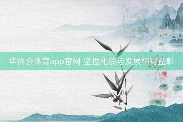 华体会体育app官网 坚捏化债与发展相得益彰