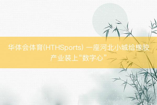 华体会体育(HTHSports) 一座河北小城给橡胶产业装上“数字心”
