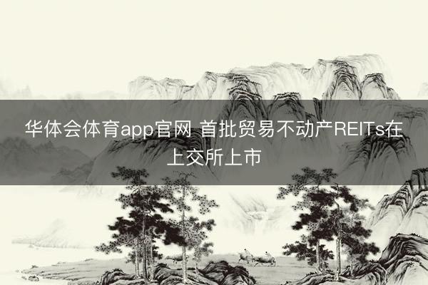 华体会体育app官网 首批贸易不动产REITs在上交所上市